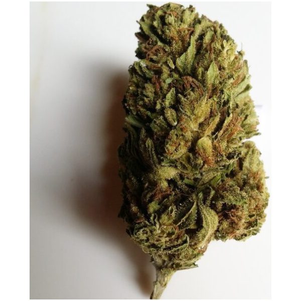 super silver haze strain Premium Cannabis & CBD Products in California
