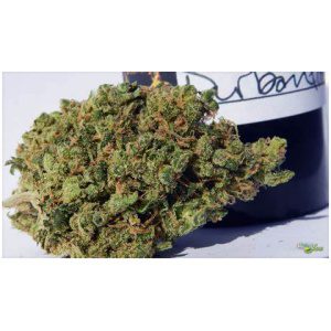 Durban Poison Strain