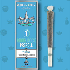 1.5G BLUNT TROPICAL